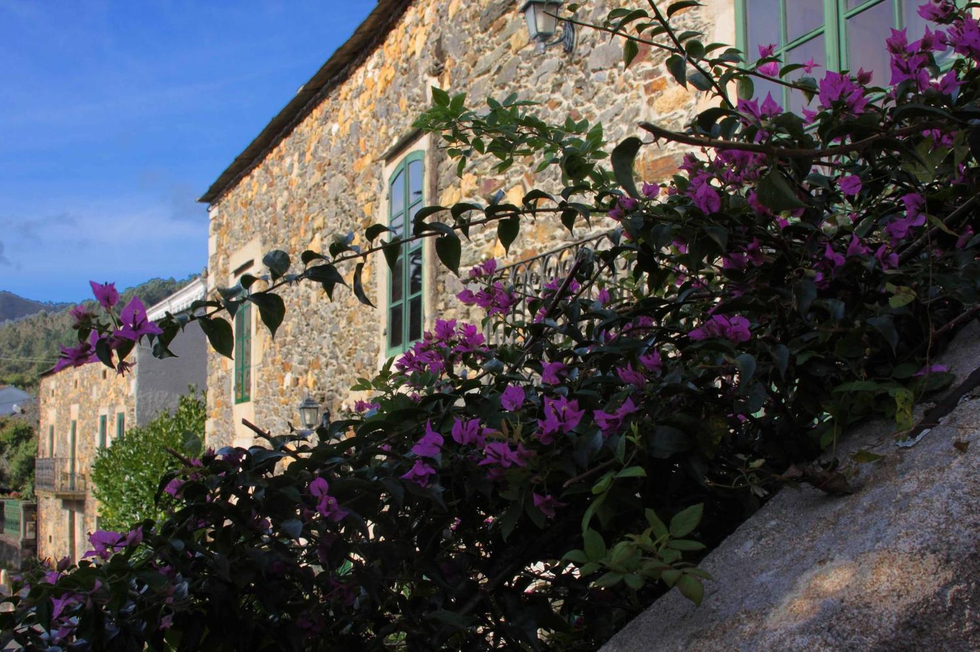 Pazo Da Trave Hotel Viveiro Bagian luar foto